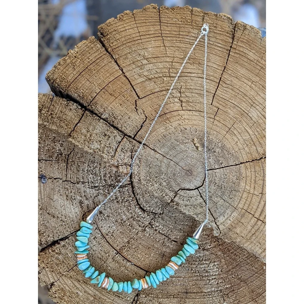 Santo Domingo‎ Pueblo Green Turquoise Heishi & Spiny Oyster Necklace Jewelry **